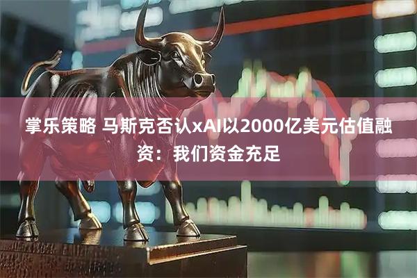 掌乐策略 马斯克否认xAI以2000亿美元估值融资：我们资金充足