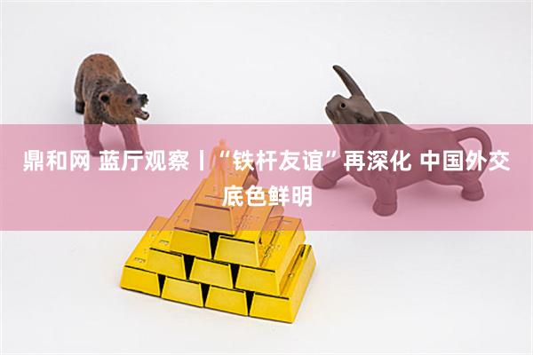 鼎和网 蓝厅观察丨“铁杆友谊”再深化 中国外交底色鲜明