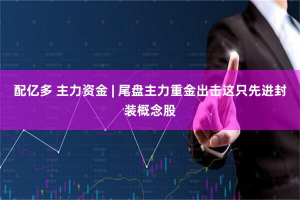配亿多 主力资金 | 尾盘主力重金出击这只先进封装概念股